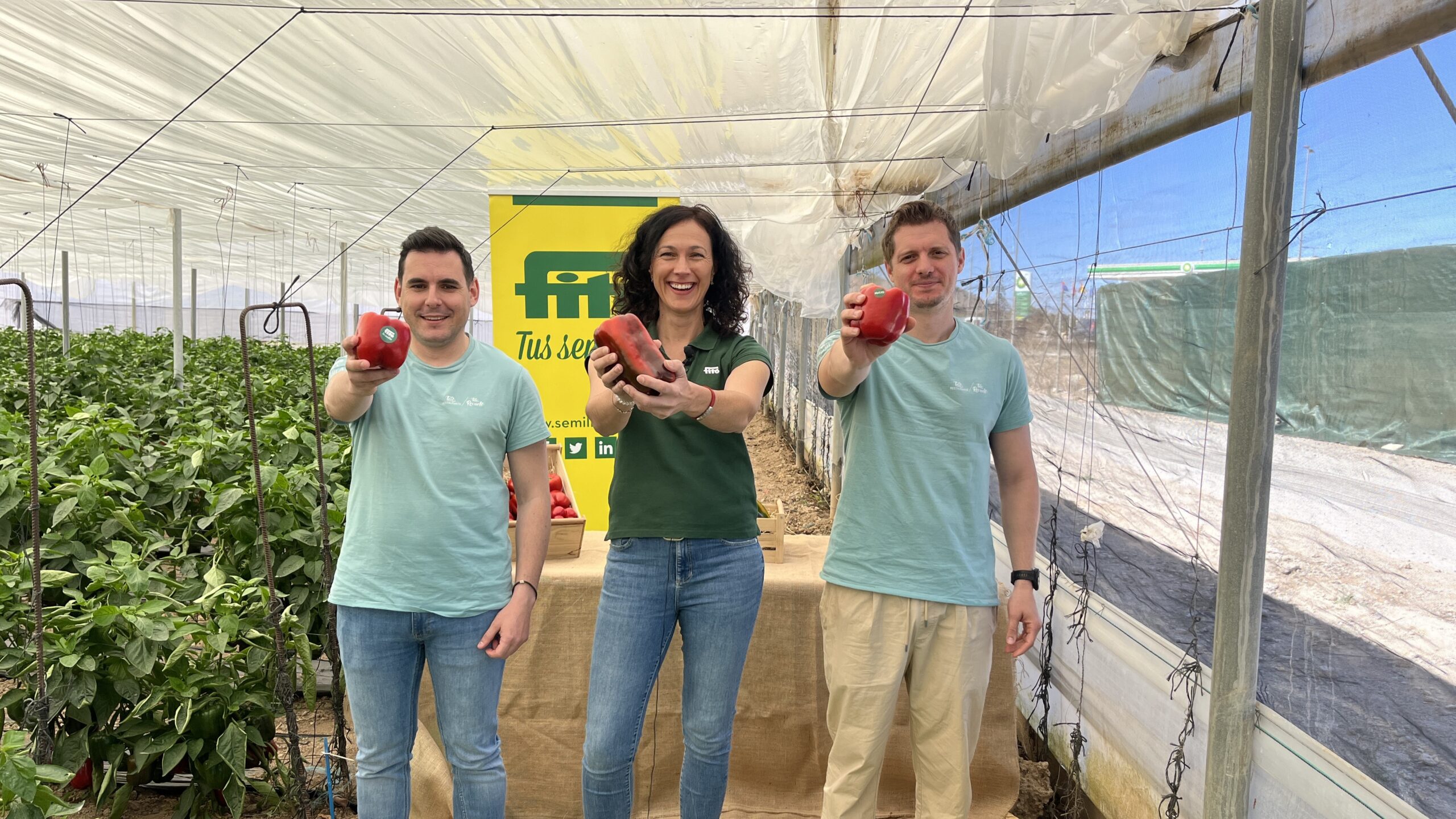 fito pimientos para una receta innovadora|Nelto fito|RIO GRANDE pimiento fito|Screenshot